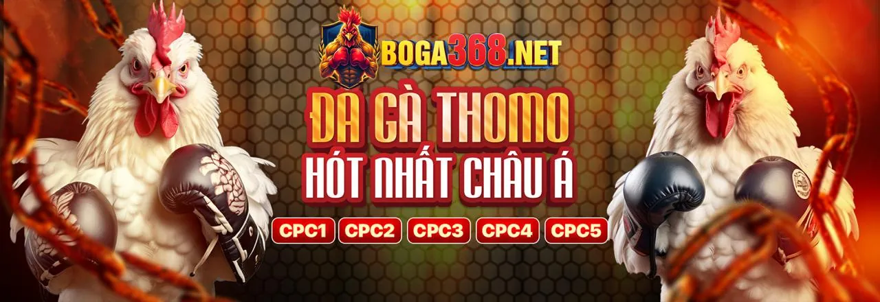 Hình ảnh chính sách cookie của gg888 slot login