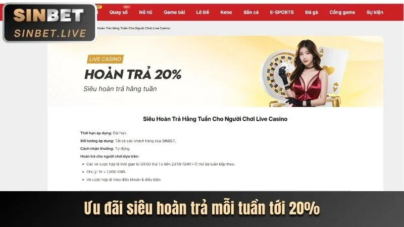 Người chơi nhận tiền hoàn trả hàng tuần trên điện thoại